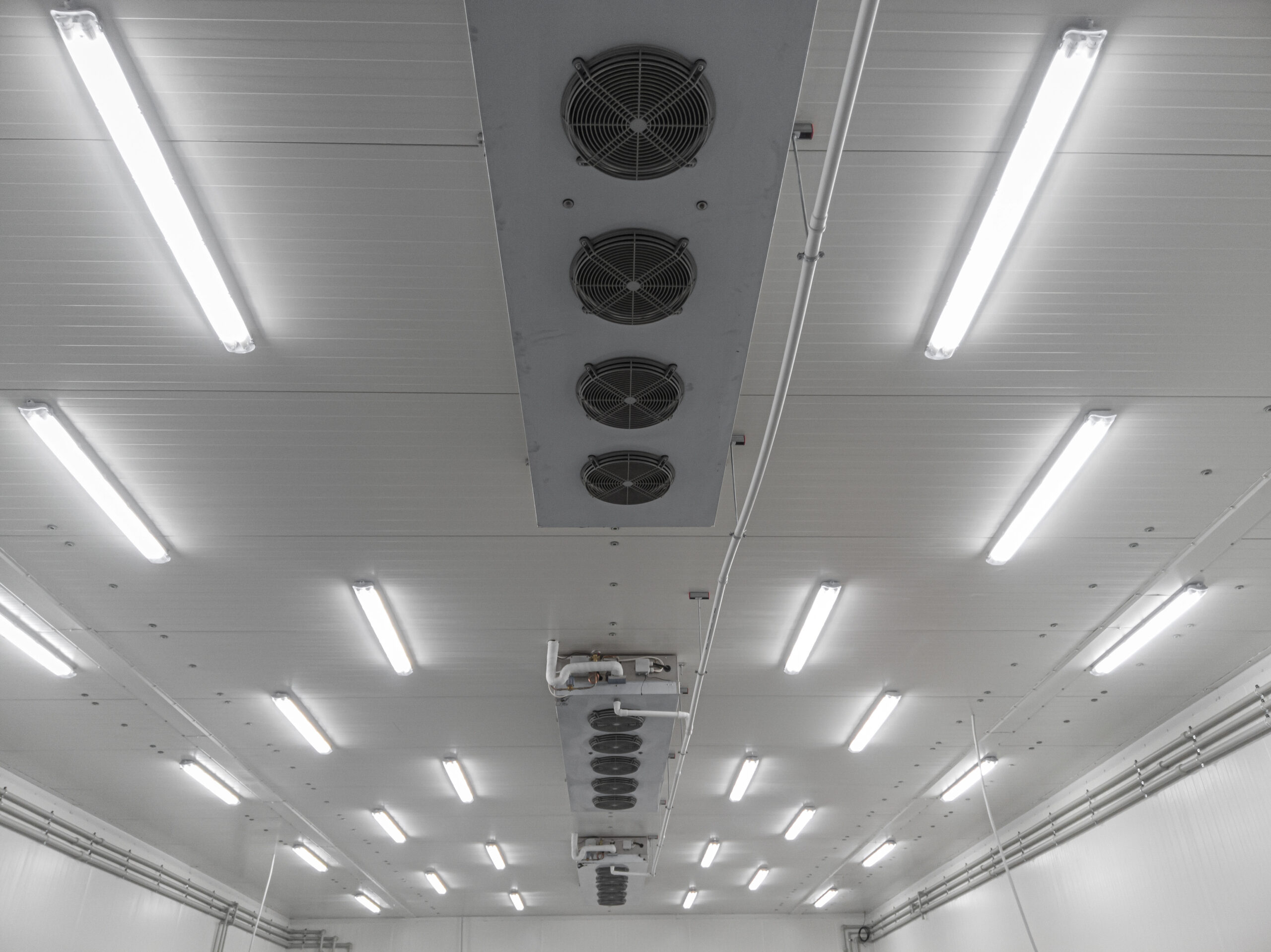 Ceiling of an industrial facility with multiple LED light fixtures and ventilation fans arranged in rows.